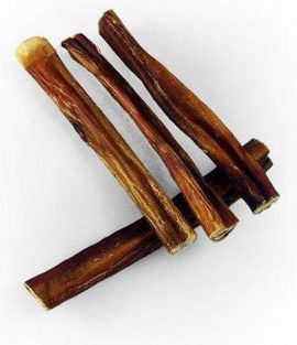 Bullepees voor uw hond